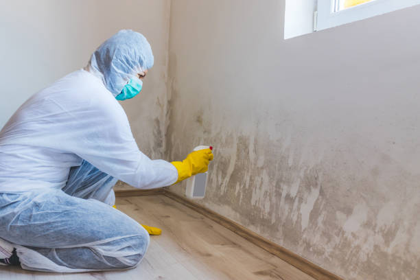 Commercial Mold Remediation assessment for commercial property in Jamison